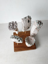 White sculpture with five organic ceramic shapes on a timber plinth, Modernist coffee table art