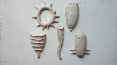 Organic shape wall sculpture set of 5, scientific art lover gift