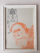 Original drawing of orange bonobo ape and Neanderthal skeleton on paper, mixed media art