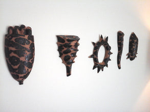 Organic shape wall sculpture set of 5, scientific art lover gift