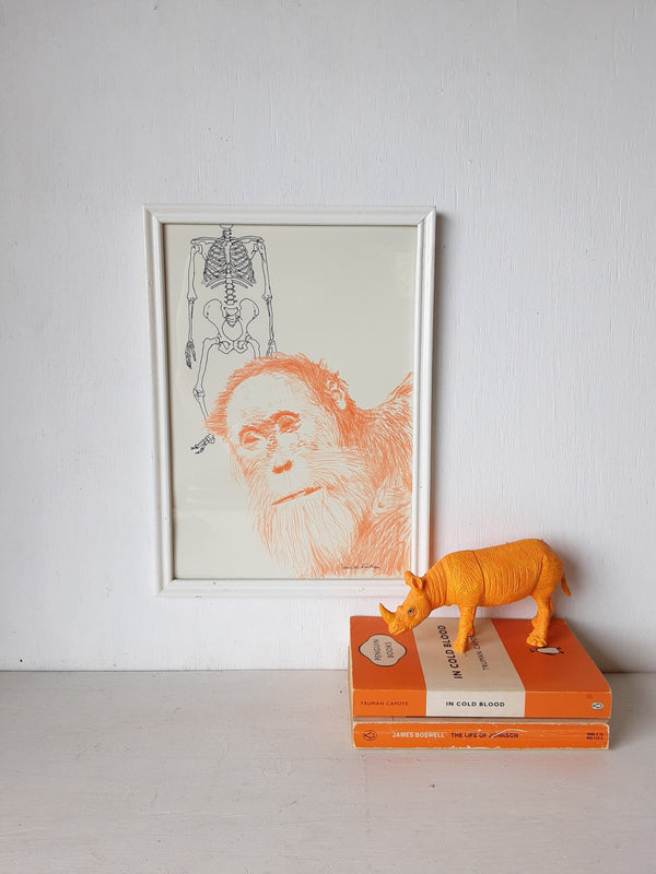 Original drawing of orange bonobo ape and Neanderthal skeleton on paper, mixed media art